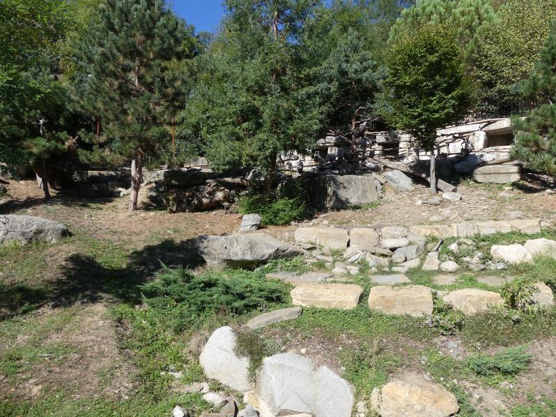 Vautour fauve - Vautour moine - 2020