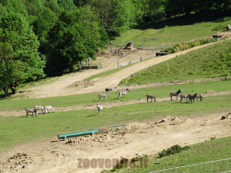 Plaine africaine - 2014