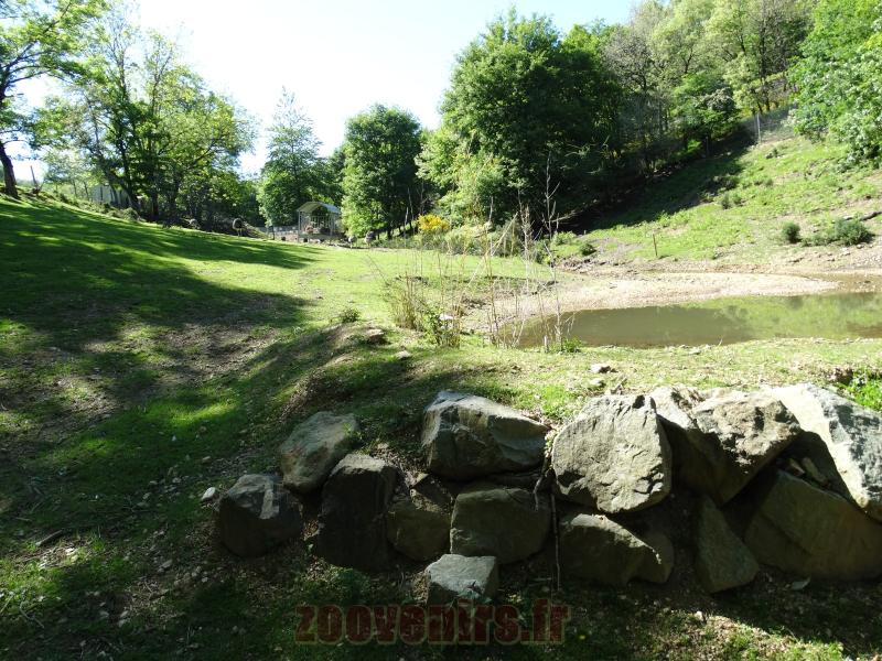 Nandou - Kangouroux - Capybara - 2014