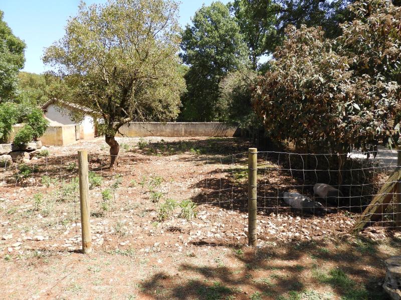 Conservatoire Porcins