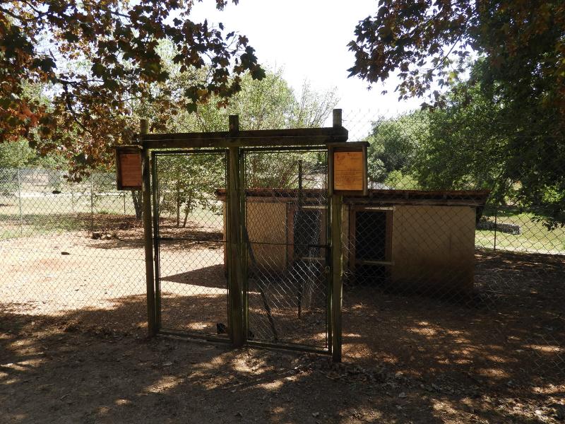 Conservatoire avicole: Poule Sussex