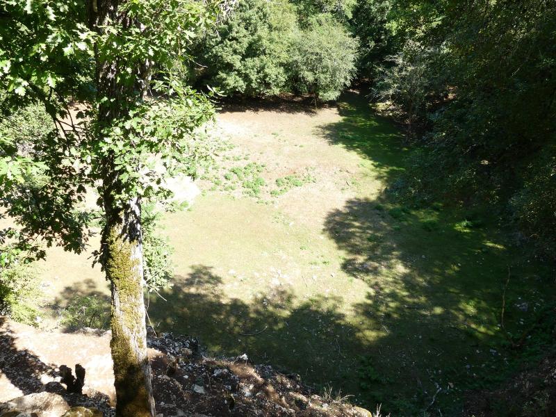 Mouflon à manchettes