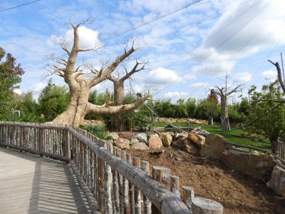 Réserve des hippopotames - 2017