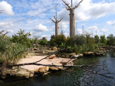 Réserve des hippopotames - 2017