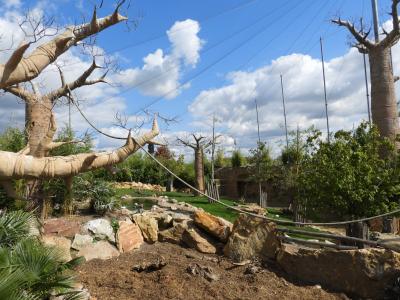 Réserve des hippopotames - 2017