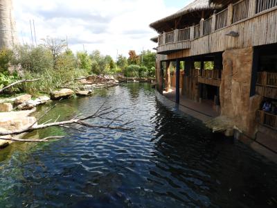 Réserve des hippopotames - 2017