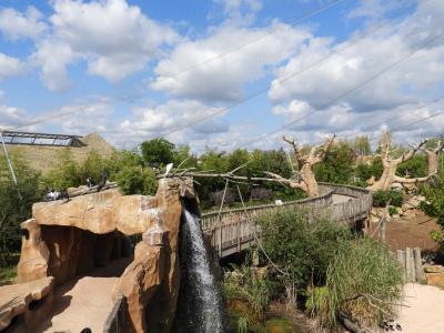 Réserve des hippopotames - 2017