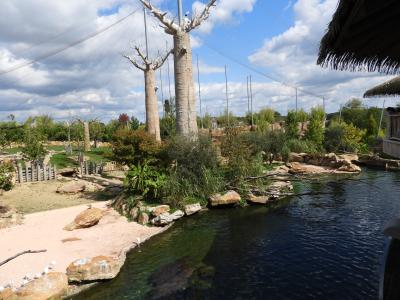 Réserve des hippopotames - 2017