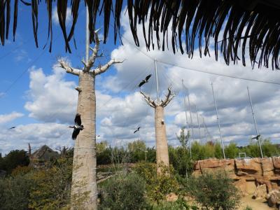 Réserve des hippopotames - 2017