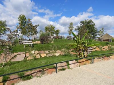 Bongo - Grue caronculée - 2017