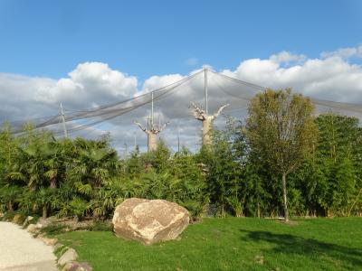 Réserve des hippopotames - 2017