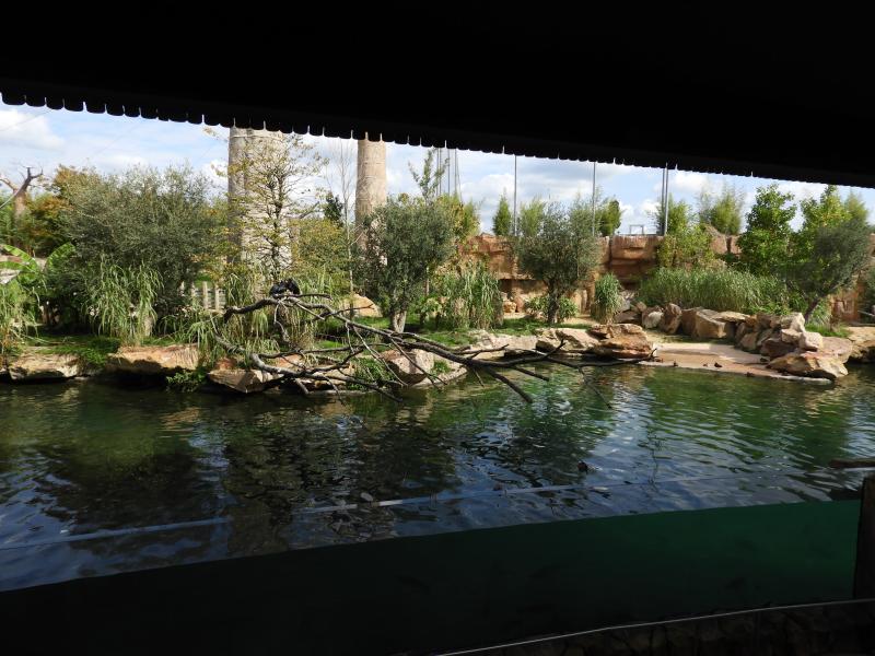 Réserve des hippopotames - 2017