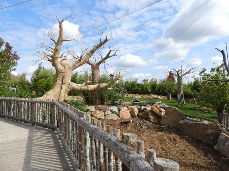 Réserve des hippopotames - 2017