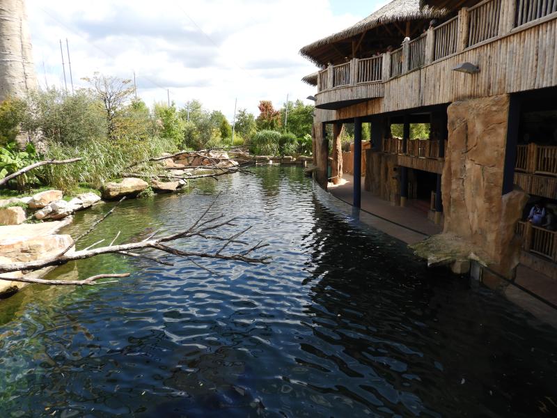 Réserve des hippopotames - 2017