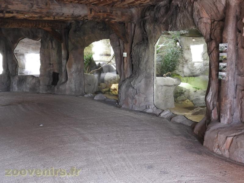 La Terre des Lions - Terrariums - 2017