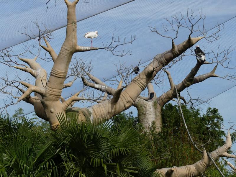 Réserve des hippopotames - 2022