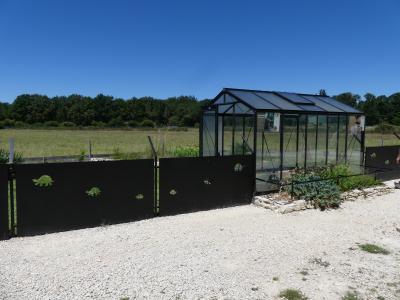 Tortue levantine - 2022