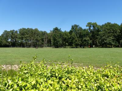 Cob à croissants - 2022