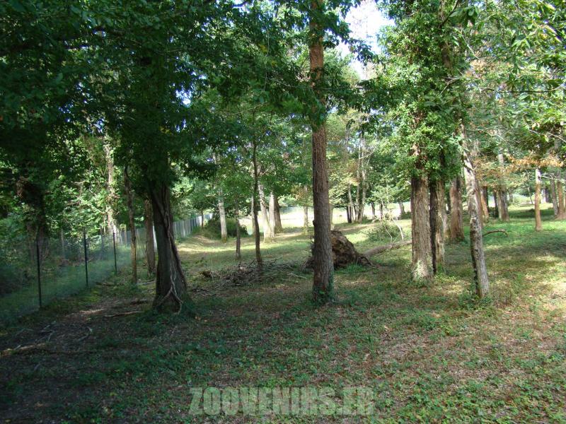 Elan du Canada - 2010