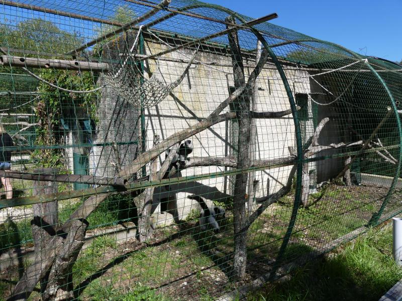 Vari noir et blanc - 2022