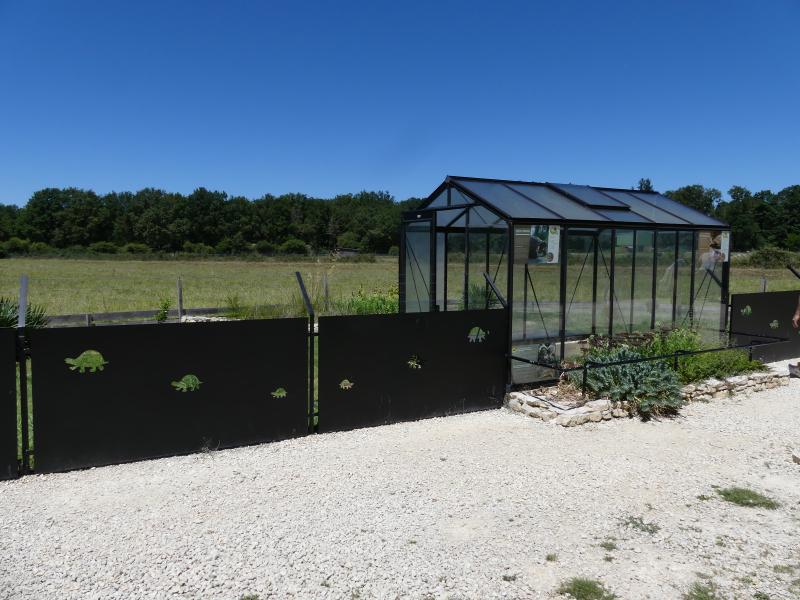 Tortue levantine - 2022