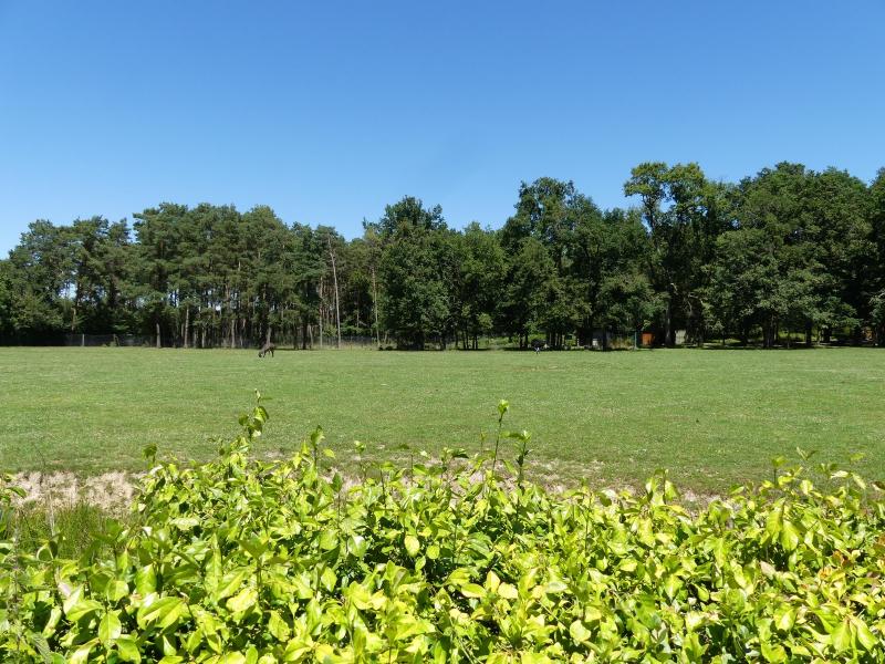 Cob à croissants - 2022