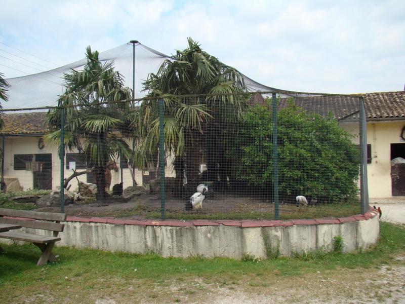 Volière exotique - 2008