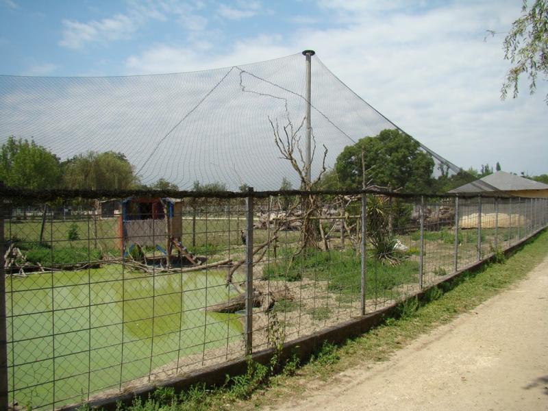 Grande volière - 2008