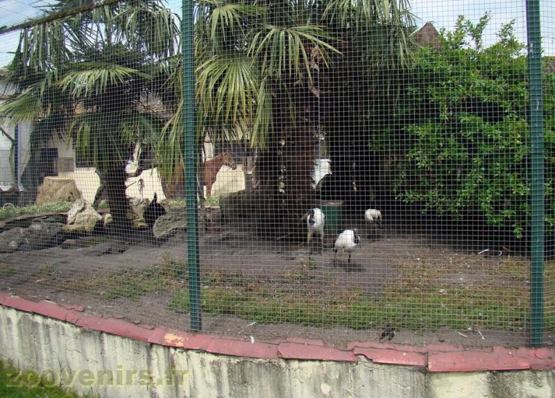 Volière exotique - 2018