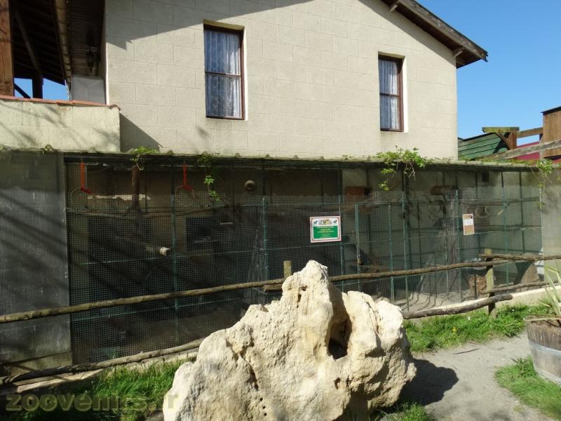 Padda - Ecureuil - Chincilla - 2018