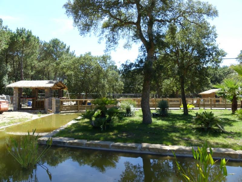 Lémur brun - Vari roux - 2019