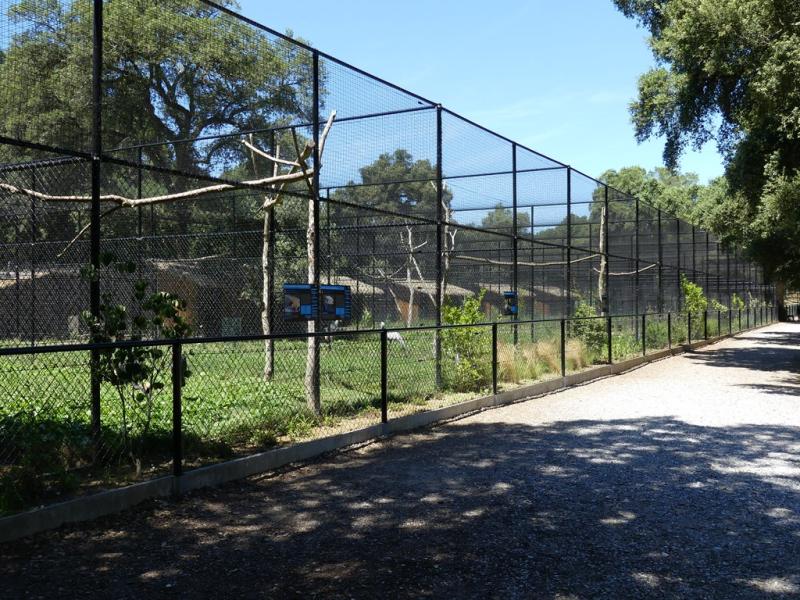 Volières de la collection des grues - 2019