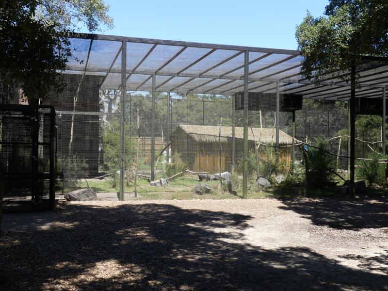 Volière des aras - 2019