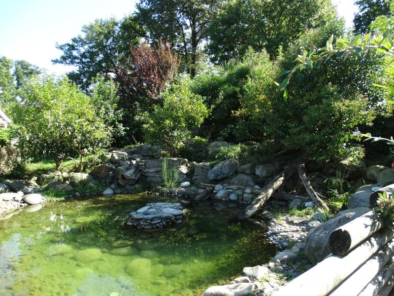 Loutre d'Asie - 2016