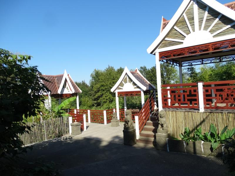 Pôle asiatique - 2016