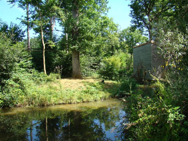 Atèle à face rouge - 2011