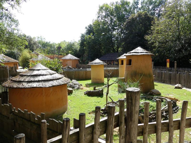 Chemin de la brousse - 2023