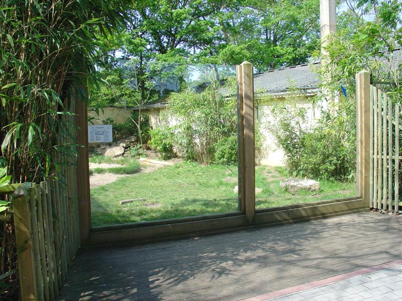 Loup à crinière - 2005