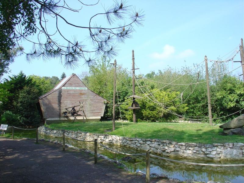 Gibbon concolore - 2005