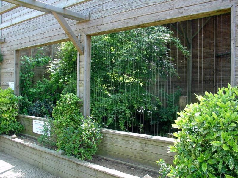 Volieres des rapaces - 2005