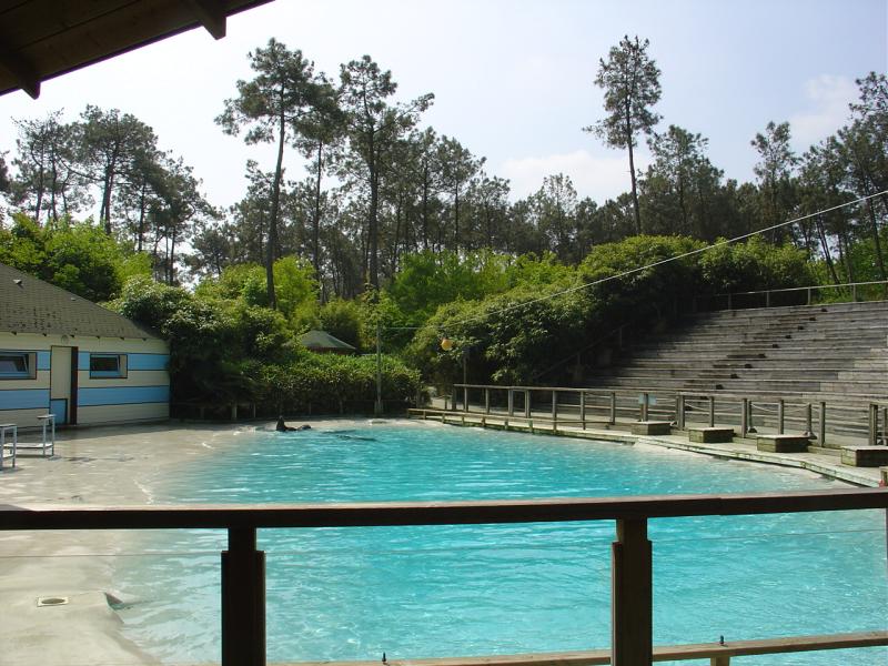 Otarie de Californie - 2005