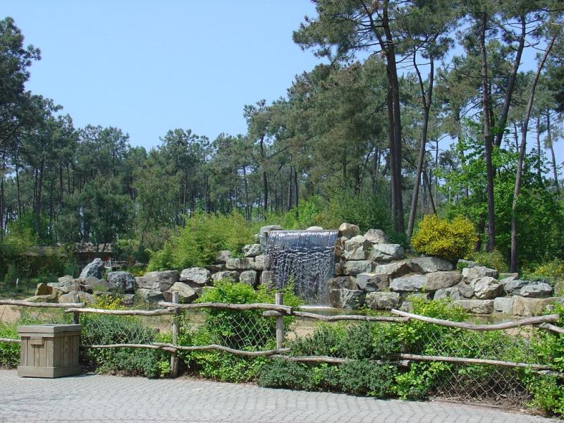 Eléphant d'Afrique - 2005