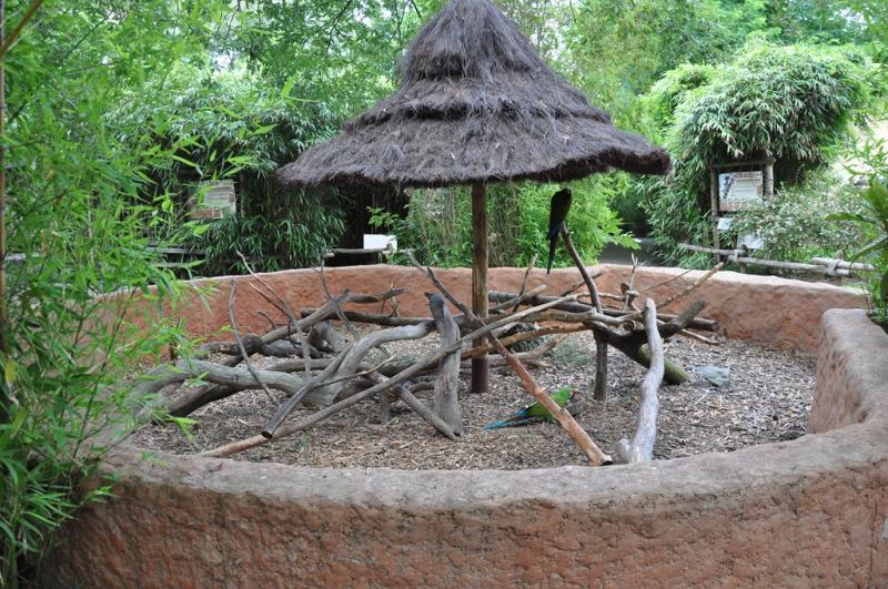 Ara militaire - 2013