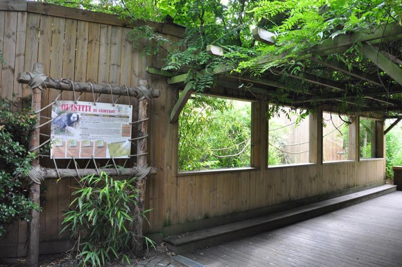 Voliere américaine - 2013