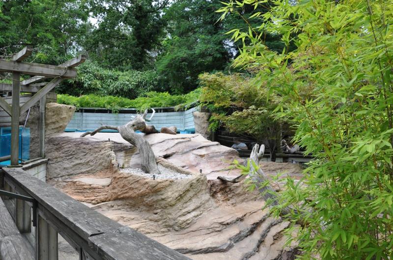 Loutre du Canada - 2013