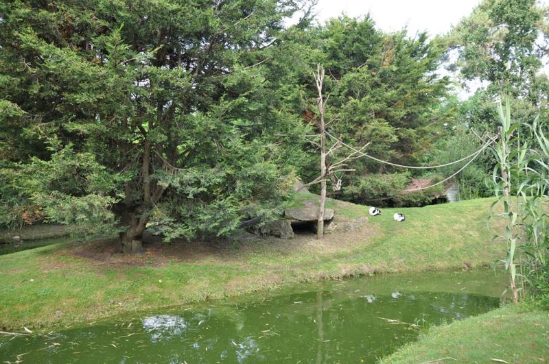 Maki vari noir et blanc - 2013