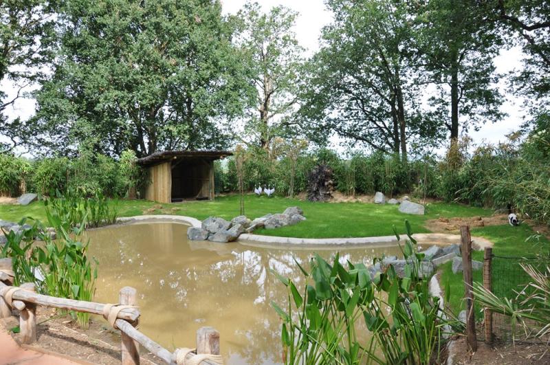 Grue demoiselle - 2013