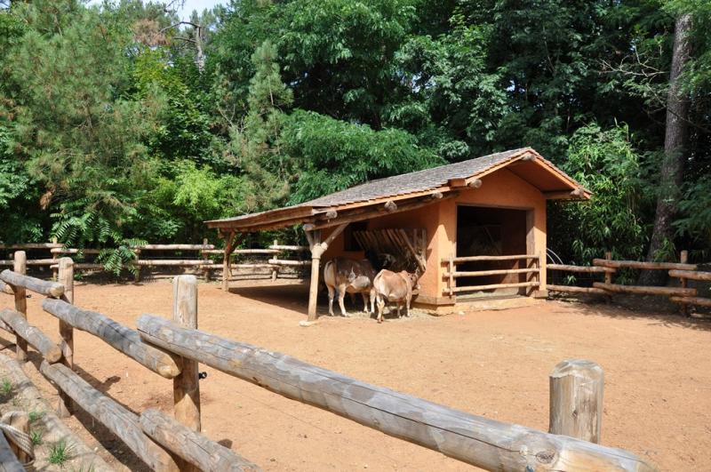 Ferme malgache - 2013