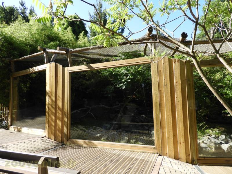 Chat pécheur - 2016