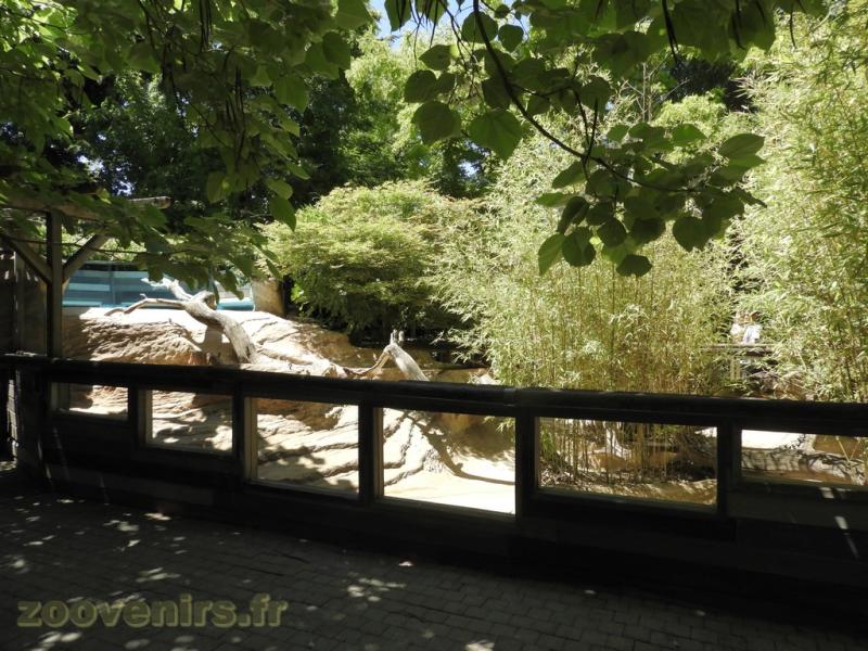 Loutre du Canada - 2016